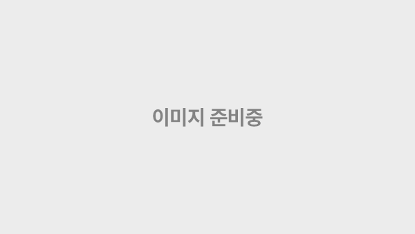 치료 전 이미지